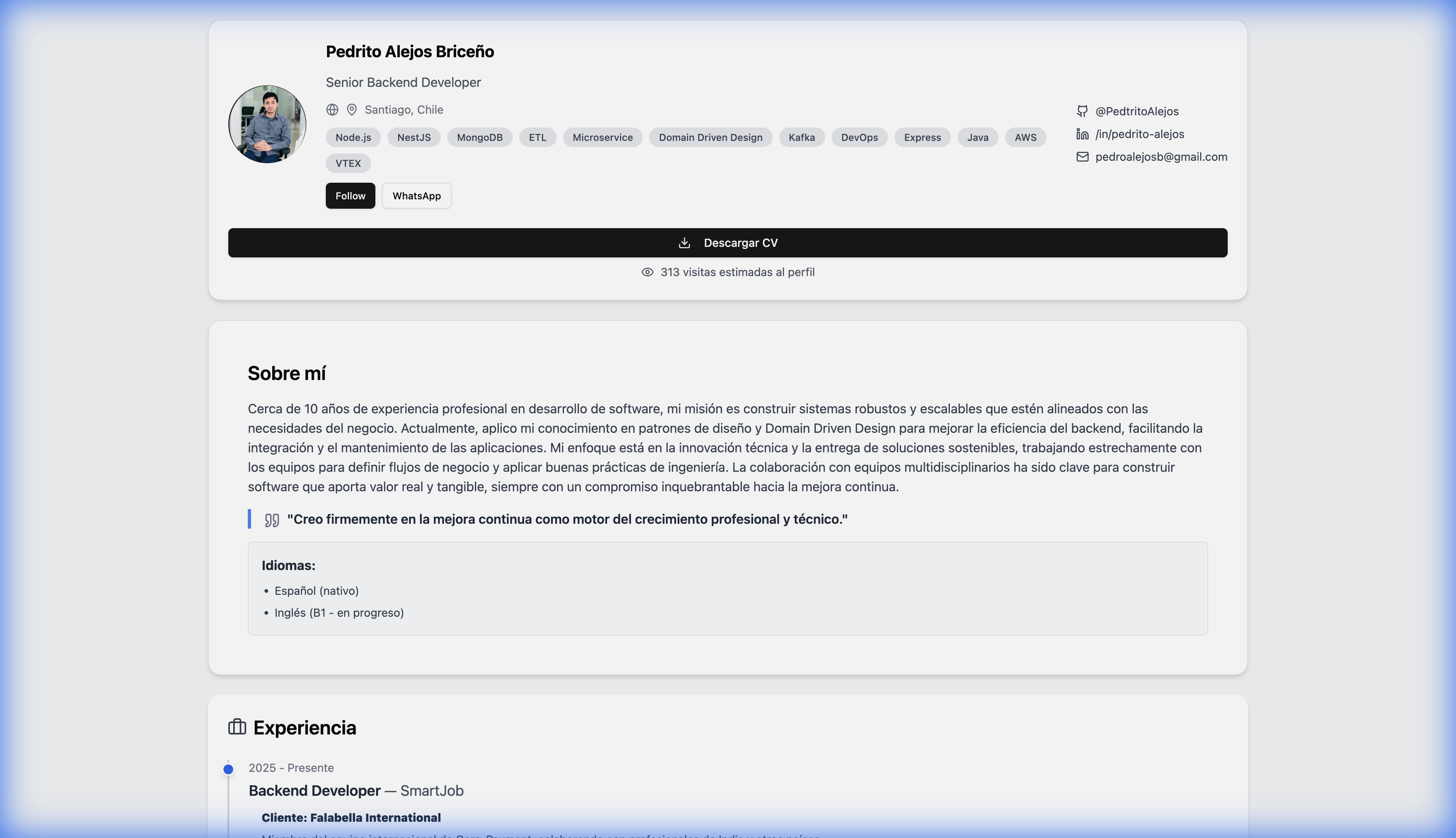 Pedrito.dev Portfolio